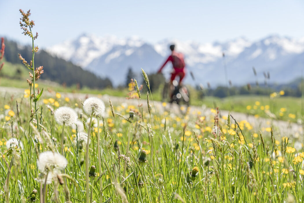 Fahrrad fahren im Sommerurlaub im Kinderhotel Allgäuer Berghof