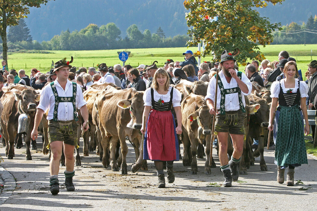 Viehscheid im Allgäu im Kinderhotel Allgäuer Berghof