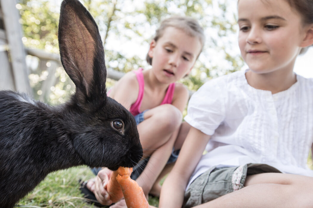 Streichelzoo mit Hasen für Kinder im Kinderhotel Allgäuer Berghof