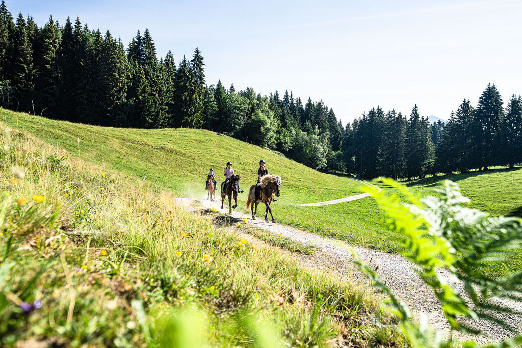 Reitprogramm mit Ausritt in die Natur im Kinderhotel Allgäuer Berghof