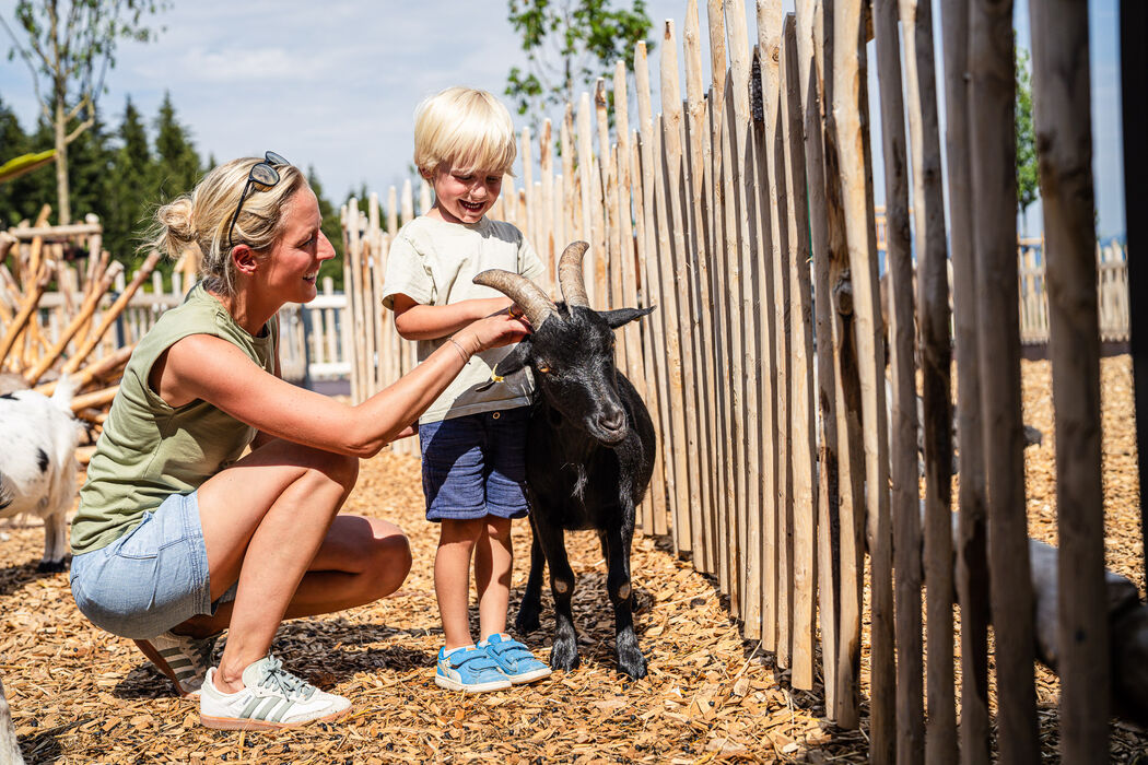 Streichelzoo mit Ziegengehege im Kinderhotel Allgäuer Berghof