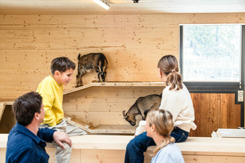 Streichelzoo mit Ziegenstall – Kinderhotel Allgäuer Berghof Streichelzoo mit Ziegenstall im Kinderhotel Allgäuer Berghof