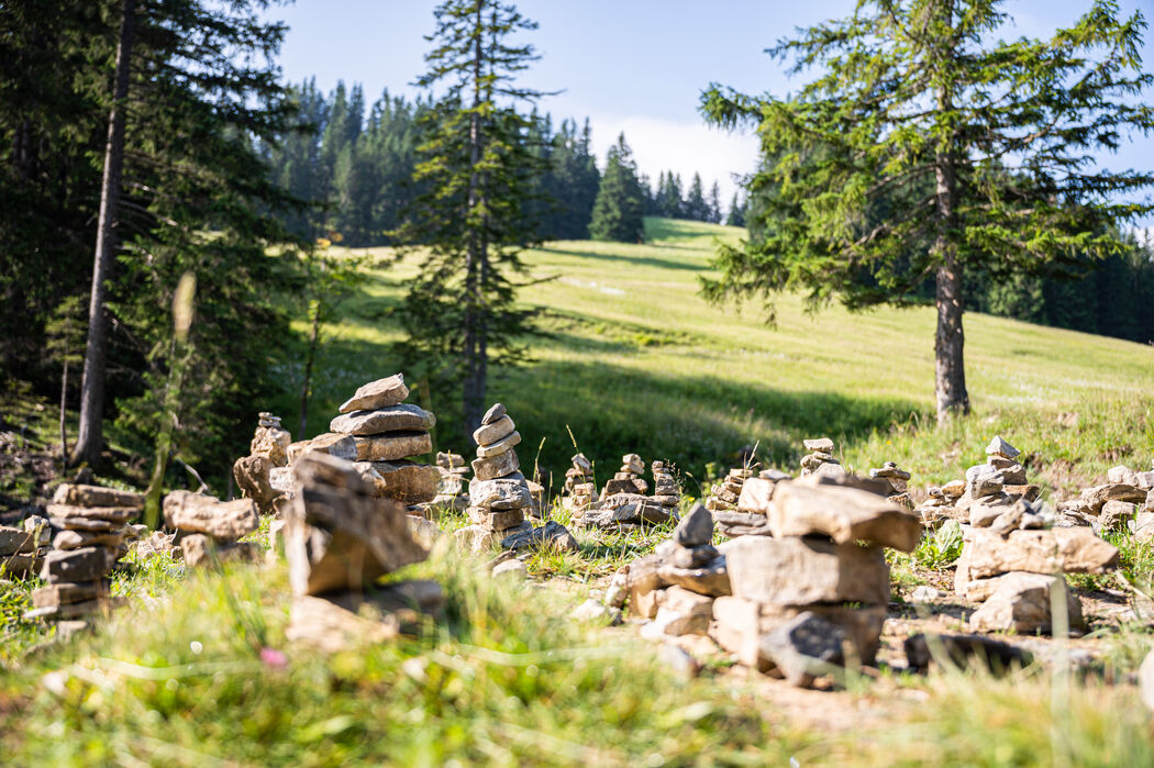Wandern am Suimändle-Weg im Kinderhotel Allgäuer Berghof