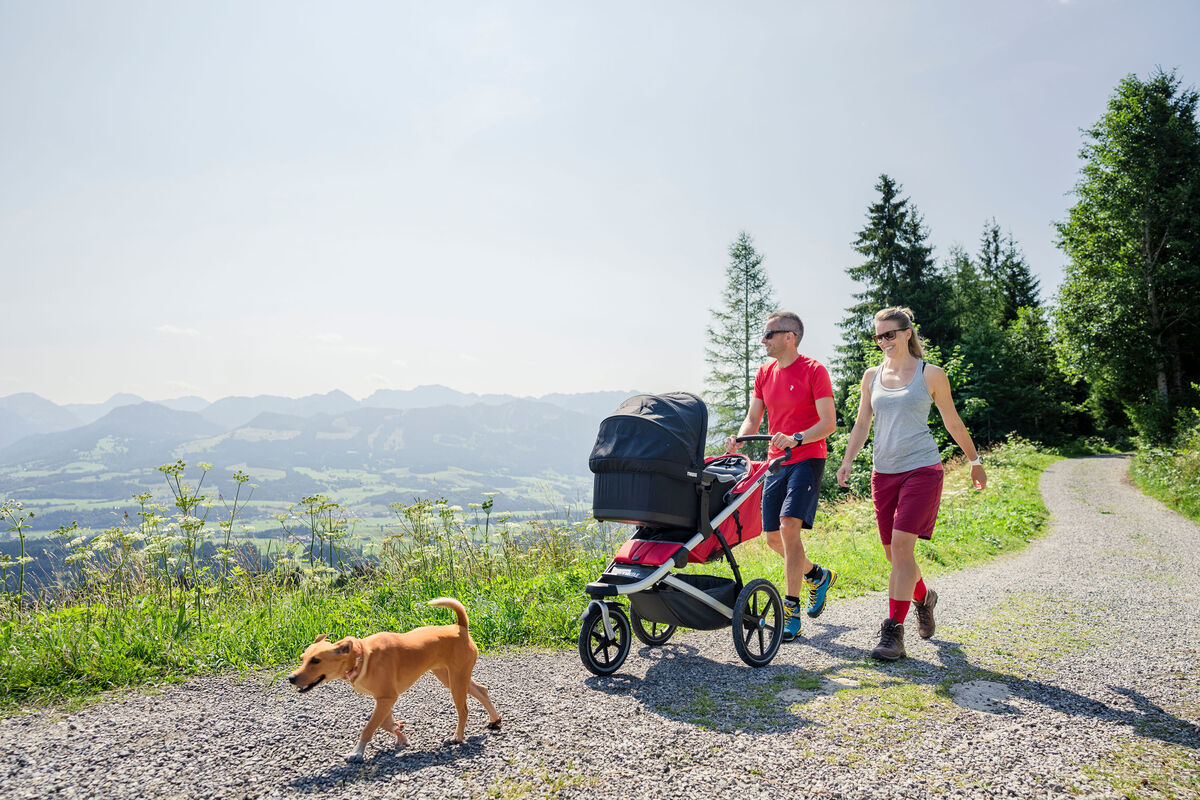 Urlaub mit Ihrem Hund - Allguer Berghof