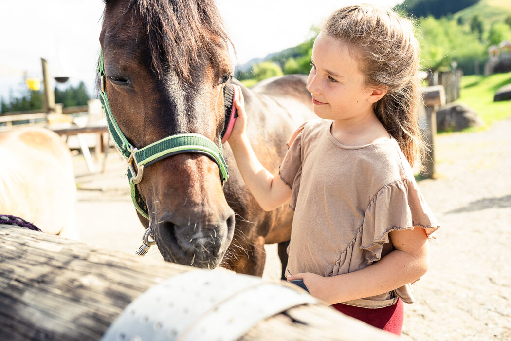 Pferd putzen und streicheln im Kinderhotel Allgäuer Berghof