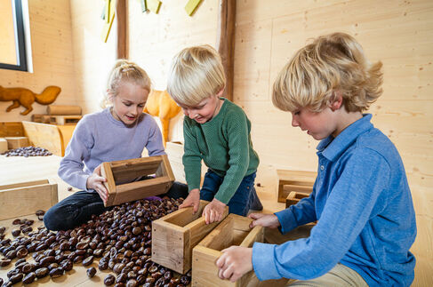 Kastanienspielplatz Spielscheune – Kinderhotel Allgäuer Berghof Kastanienspielplatz in der Spielscheune im Kinderhotel Allgäuer Berghof