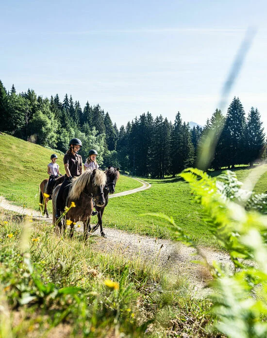 Ausritt mit professionellen Reitlehrern im Kinderhotel Allgäuer Berghof