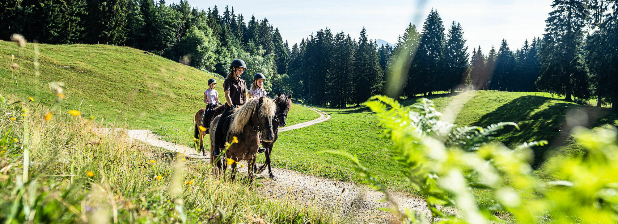 Ausritt mit professionellen Reitlehrern im Kinderhotel Allgäuer Berghof