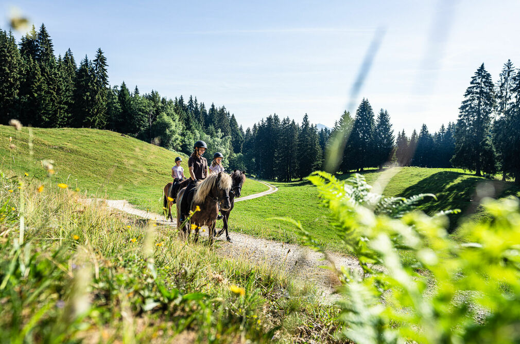 Ausritt mit professionellen Reitlehrern im Kinderhotel Allgäuer Berghof