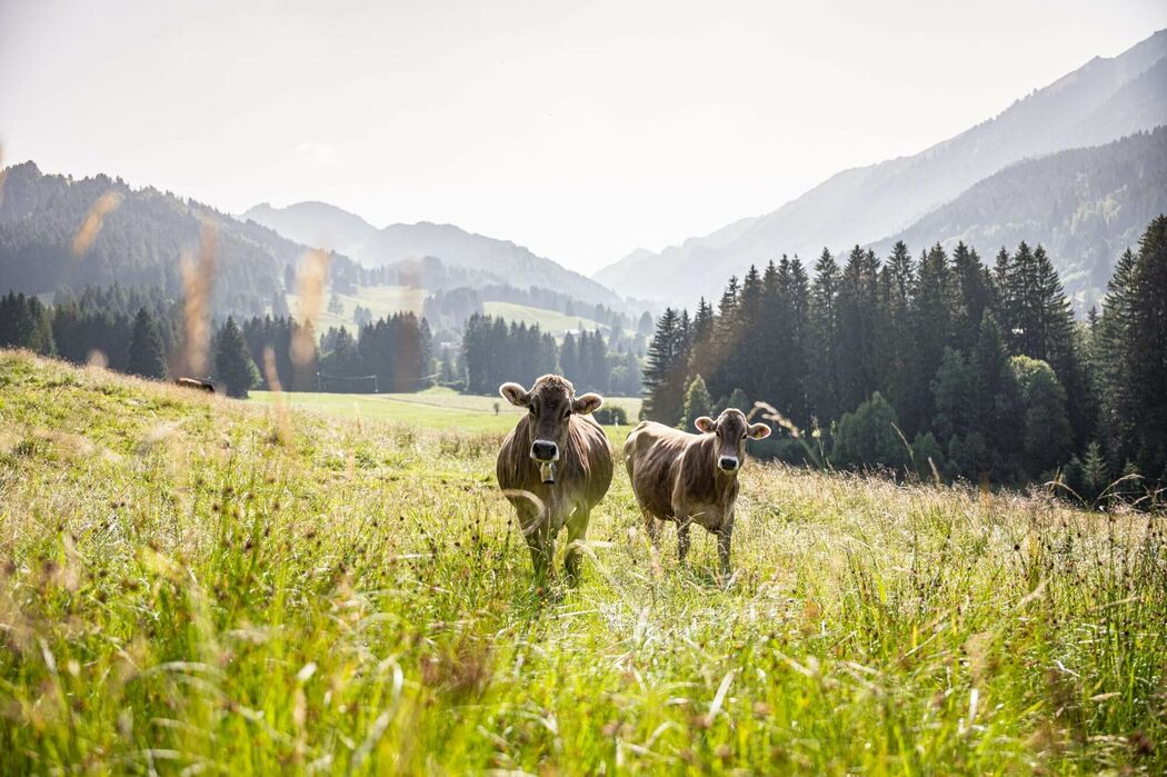 Wanderurlaub genießen im Kinderhotel Allgäuer Berghof