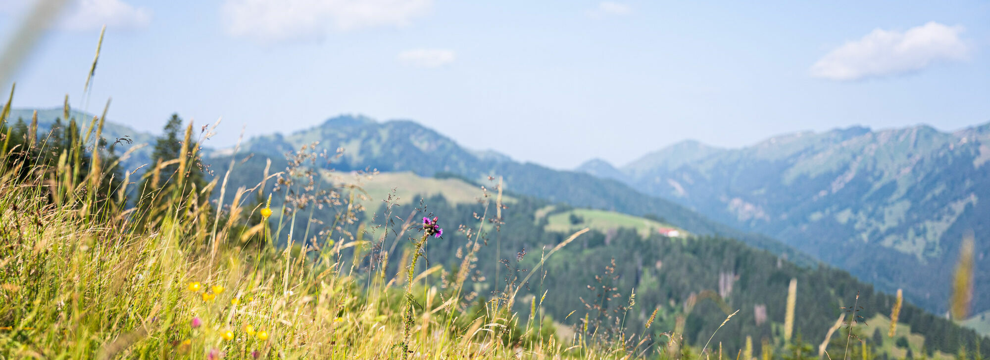 Wandern im Kinderhotel Allgäuer Berghof mit der Familie