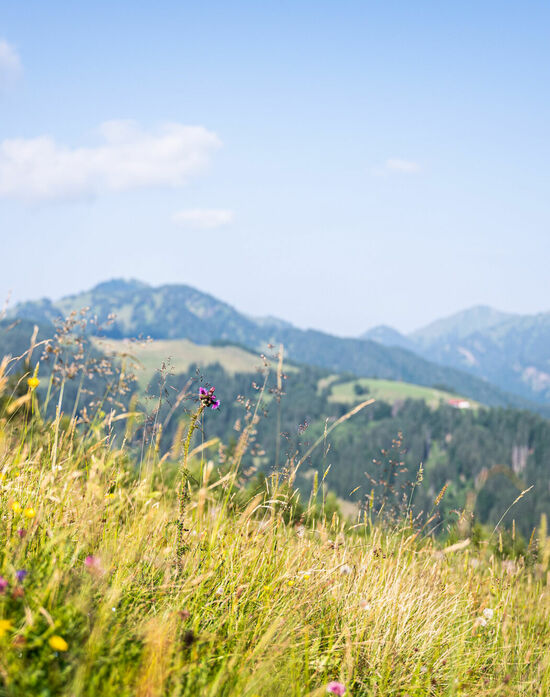 Wanderurlaub Allgäu – Kinderhotel Allgäuer Berghof Wandern im Kinderhotel Allgäuer Berghof mit der Familie