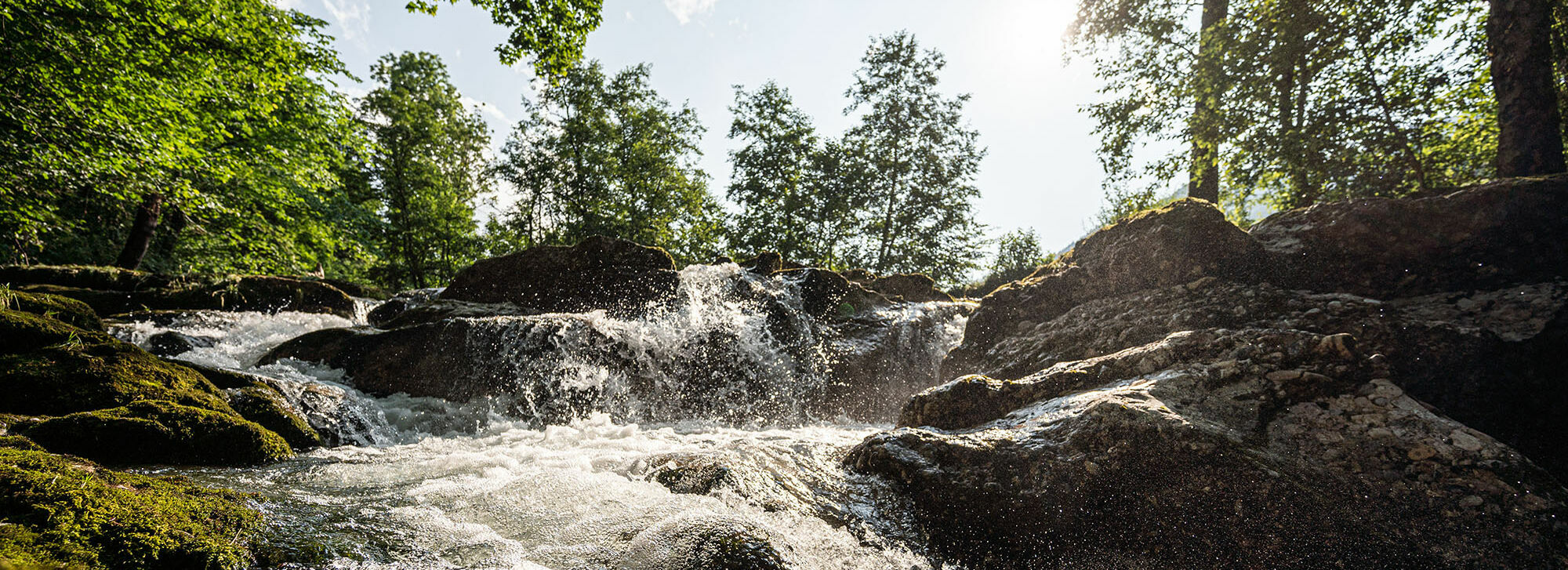 Sommerurlaub im Allgäu genießen im Kinderhotel Allgäuer Berghof