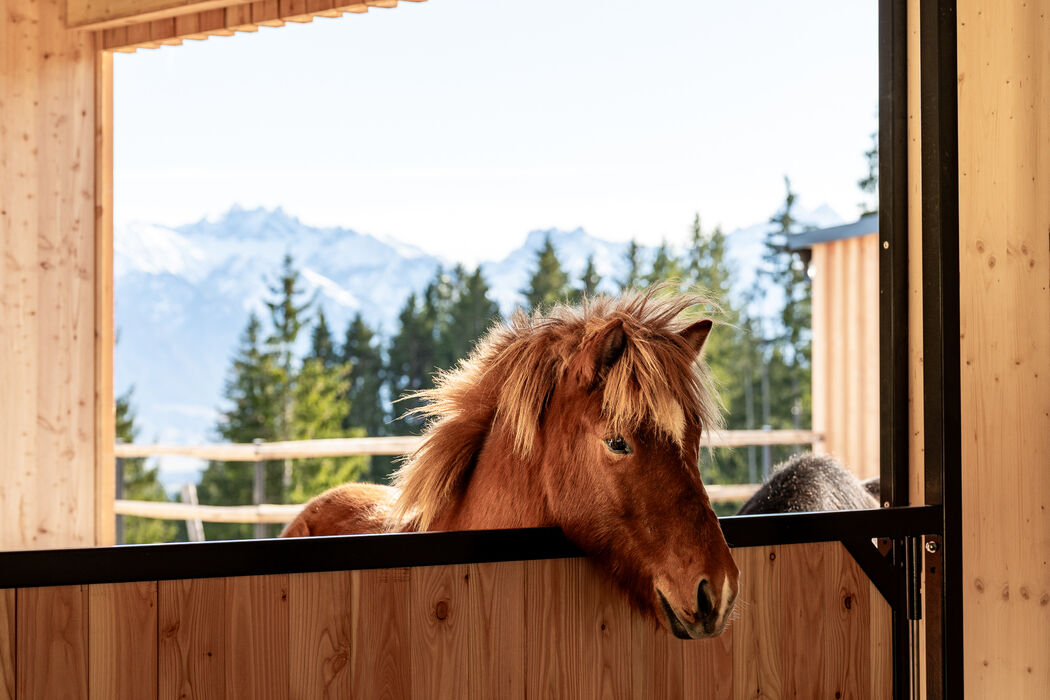 Familienhotel im Allgäu mit Pferden - Kinderhotel Allgäuer Berghof