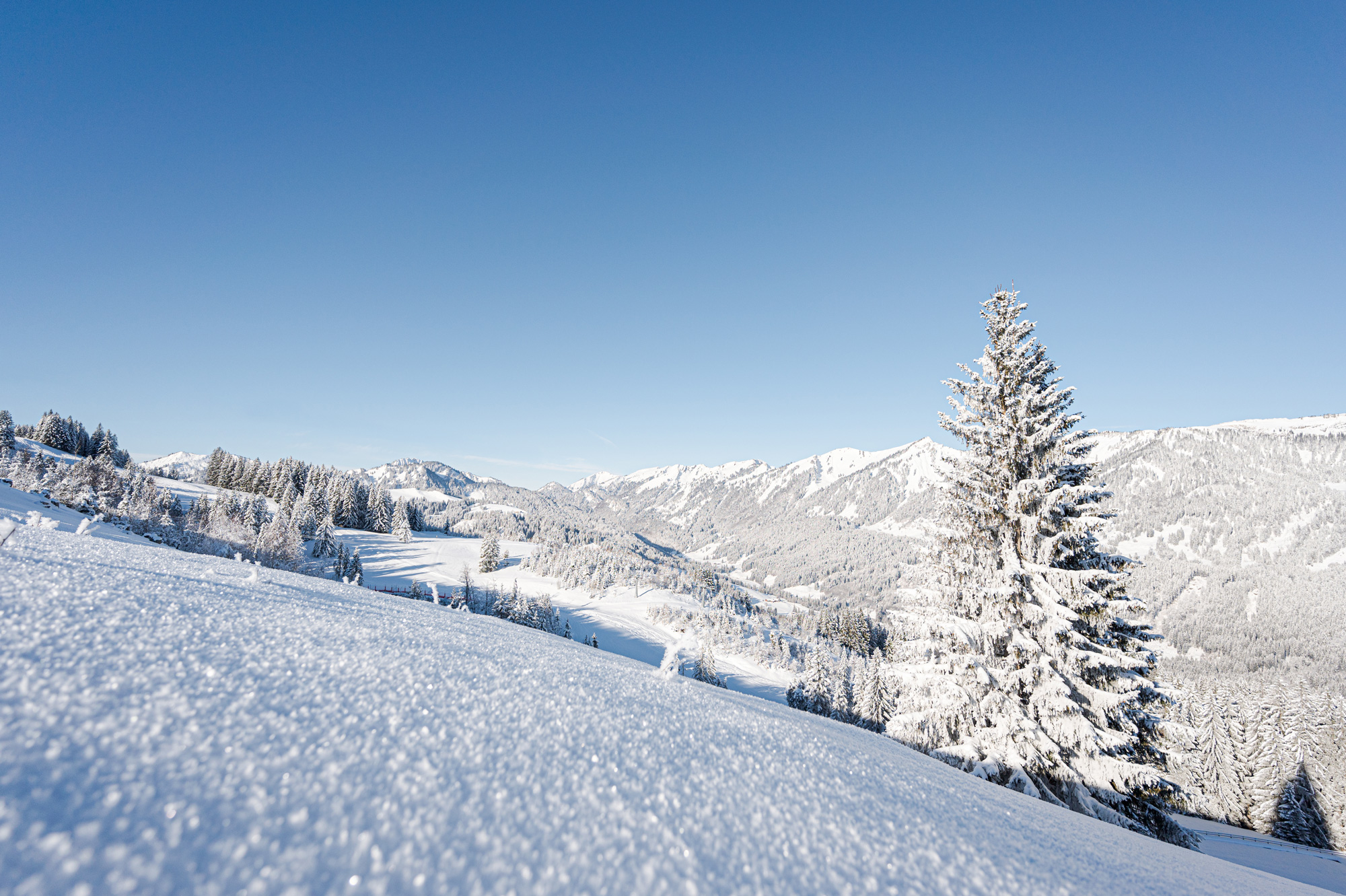 Winterferien für die ganze Familie im Kinderhotel Allgäuer Berghof